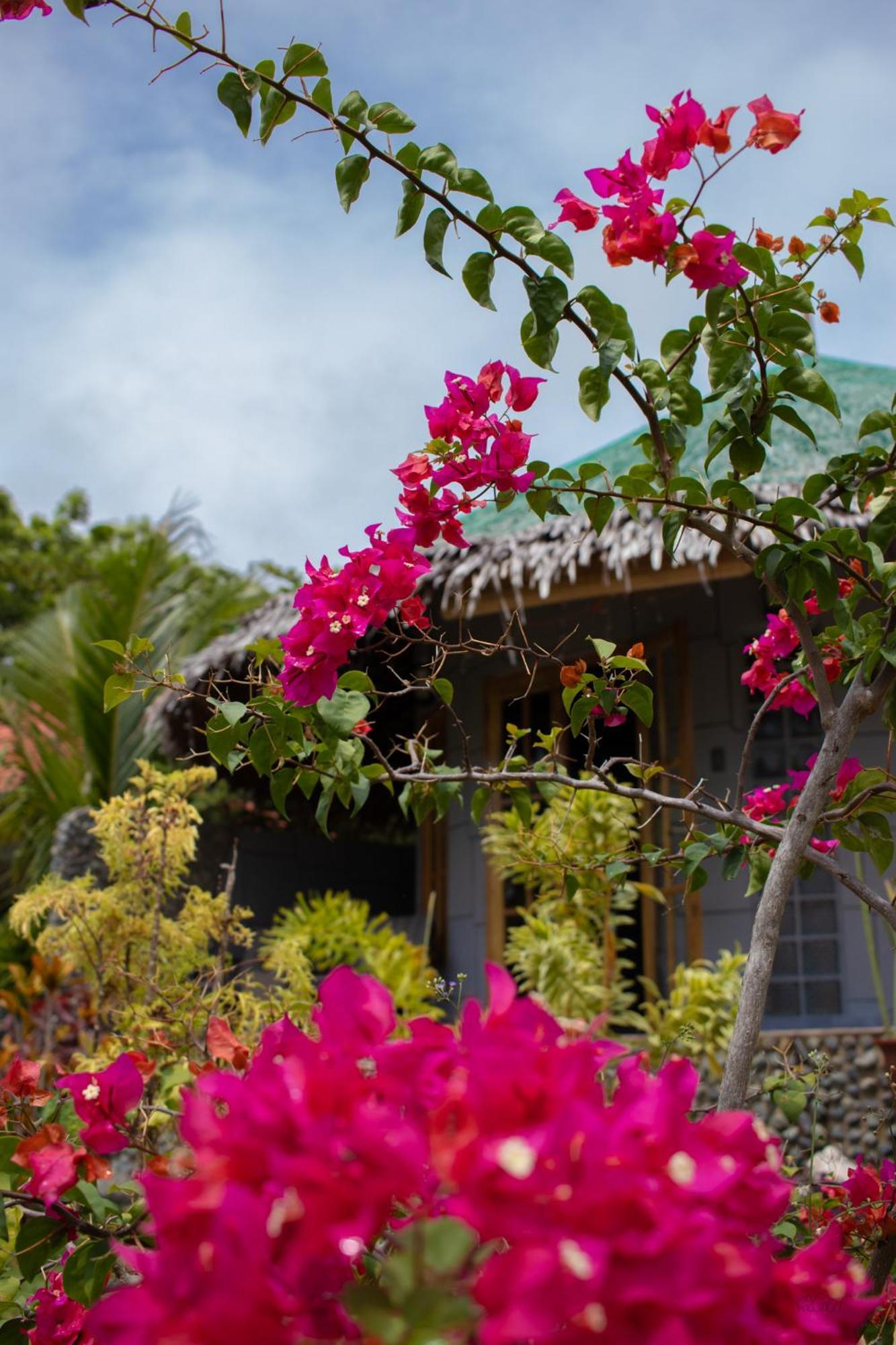 Rhenmart-Inn Siquijor Exterior foto
